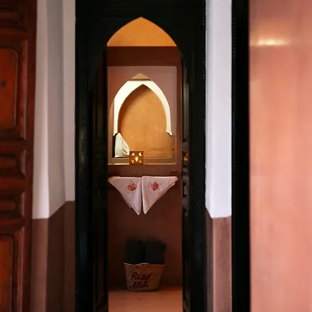 Riad Alili-2